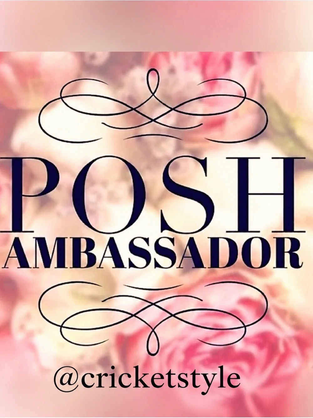 Introducing Poshmark Ambassador @CricketStyle - Picture 6 of 16